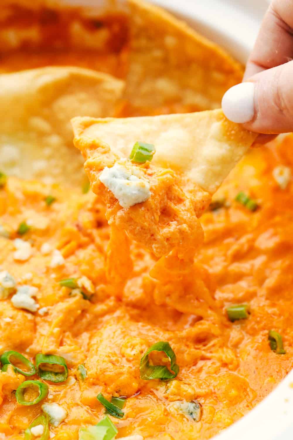 Crockpot Buffalo Chicken Dip is an insanely delicious way to jazz up your next party. Chock full of intense but balanced flavors this appetizer is going to disappear fast. Upclose picture of a chip being pulled out of the dip with dip on it.