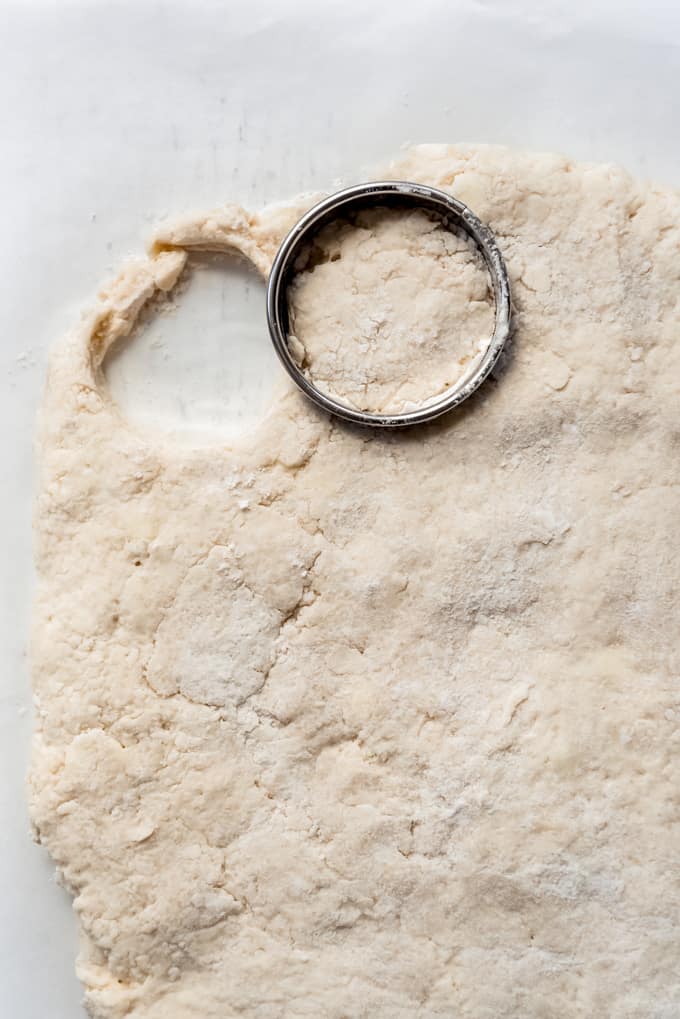 Angel Biscuits are a heavenly addition to any dinner table! These light and fluffy southern biscuits are quick and easy to throw together and they freeze great if you want to make them ahead! a round biscuit cutter cutting out dough