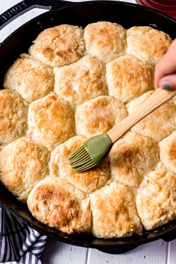 Angel Biscuits are a heavenly addition to any dinner table! These light and fluffy southern biscuits are quick and easy to throw together and they freeze great if you want to make them ahead! brushing the tops of angel biscuits with melted butter