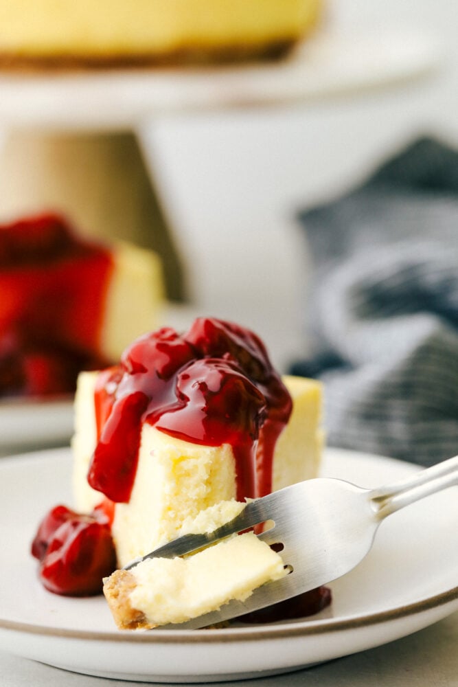 New York Cheesecake is a smooth, creamy dessert that is decant and always a favorite! This is an easy cheesecake that anyone can make. Taking a bite of New York cheesecake.