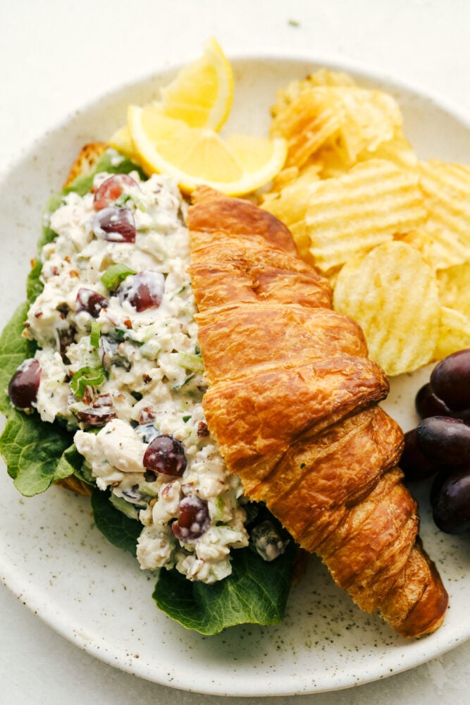 This is the Best Chicken Salad EVER! Perfect for summer picnics, festive lunches and anytime in between! Chicken salad on a croissant with chips on a plate.