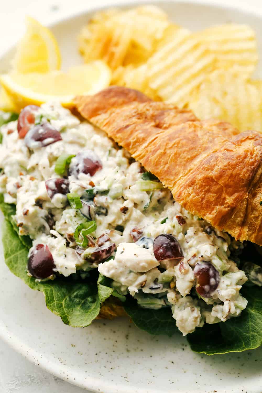 This is the Best Chicken Salad EVER! It's packed with flavor and some crunch and is the perfect sandwich for any occasion! A close up of chicken salad in a croissant one a plate with some potato chips.