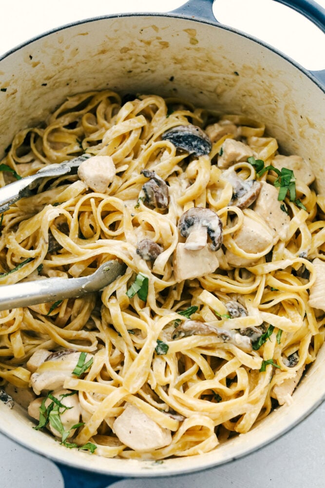 Chicken and Mushroom Fettuccine Alfredo is an easy weeknight or weekend meal made even faster if you have leftover chicken. One-pot means keeping this simple while everything is simmered together. Chicken Alfredo fettuccine alfredo in one pot.