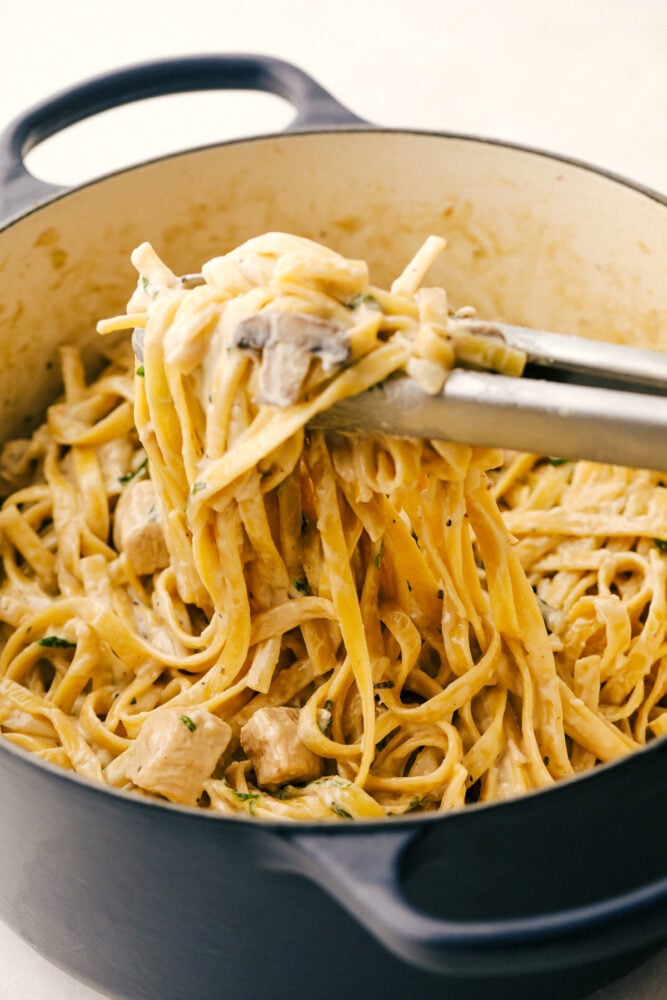 Chicken and Mushroom Fettuccine Alfredo is an easy weeknight or weekend meal made even faster if you have leftover chicken. One-pot means keeping this simple while everything is simmered together. Chicken alfredo fettuccine with mushrooms in one pot with tongs lifting the noodles.