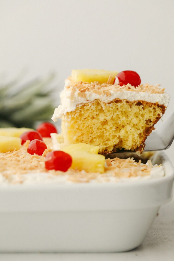 Pina Colada Poke Cake is a little slice of tropical paradise on a plate! Rich in flavor this is a light fluffy cake everyone is going to love! Showing the light interior of the pina colada cake.