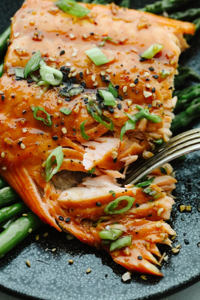 Blanketed with an insanely good soy garlic glaze, this juicy Asian glazed salmon is to die for! With how healthy and delicious it is, it will become your new lunch go-to! Taking a bite of asian glazed salmon, garnished with green onions.
