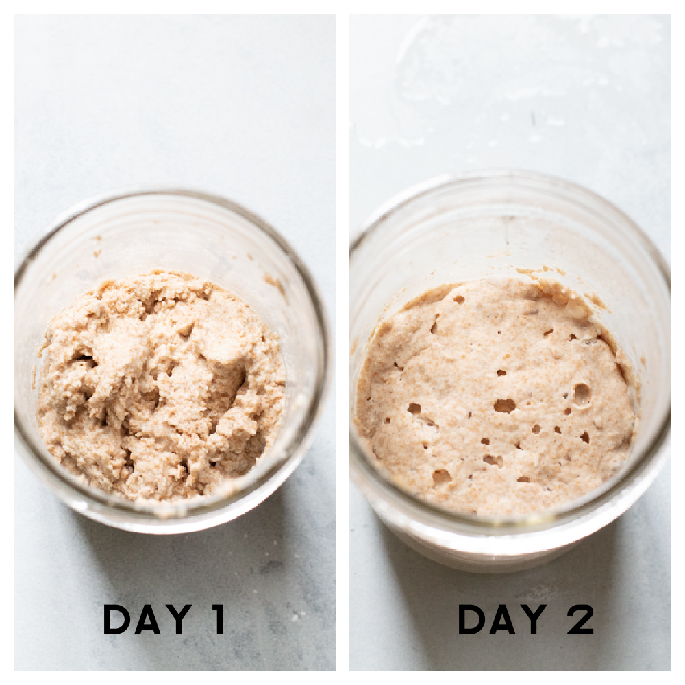 Start your sourdough journey with this guide on cultivating wild yeast! You only need flour, water, and a few minutes of maintenance each day to bake better bread! Two jars showing the process of making sourdough.
