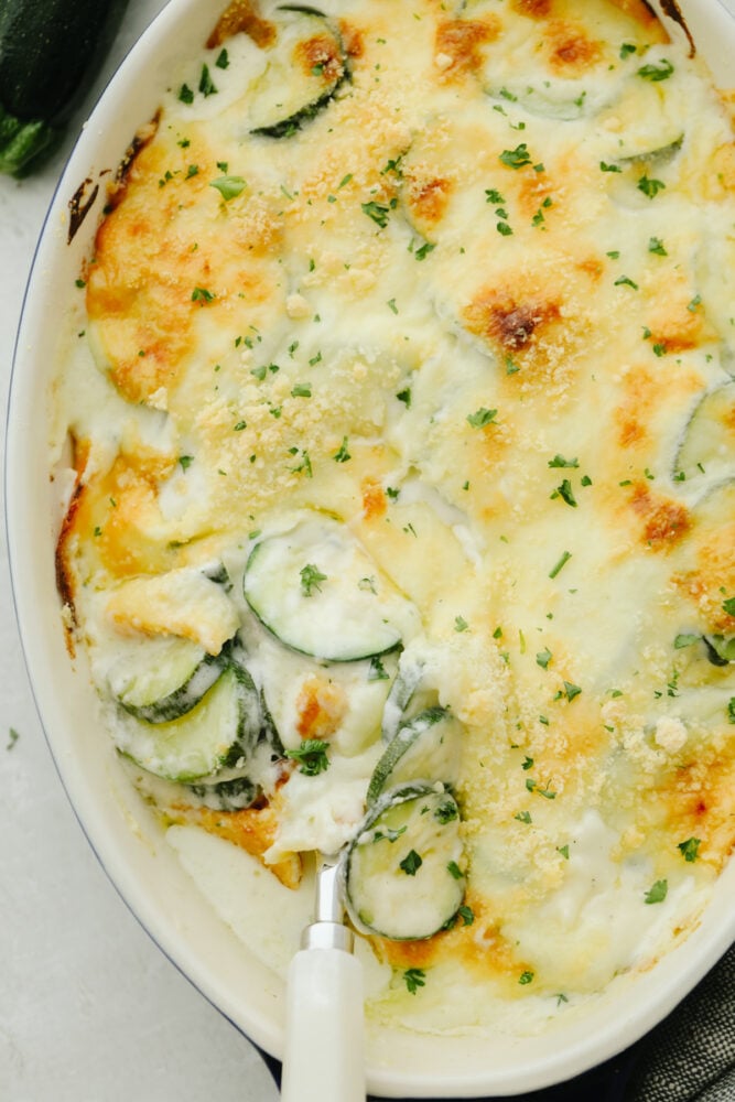 Three Cheese Zucchini Gratin has layers of creamy, cheesy sauce and is topped with a crunchy buttery topping. Ooey-gooey and cheesy, this low-carb take on comfort food will please any crowd! Parmesan Zucchini Gratin in a white dish.