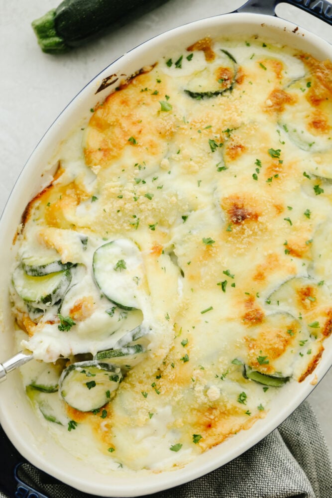 Three Cheese Zucchini Gratin has layers of creamy, cheesy sauce and is topped with a crunchy buttery topping. Ooey-gooey and cheesy, this low-carb take on comfort food will please any crowd! Parmesan Zucchini Gratin in a white dish.