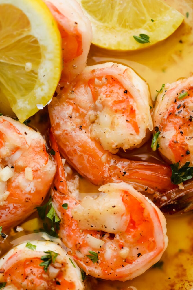 Garlic, butter, and shrimp. It doesn't get much tastier than those three ingredients! Combine them together and you will have a melt in your mouth, smack your lips kind of food that you will go back to over and over again! Close up of cooked shrimp.