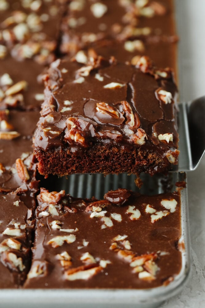 Texas sheet cake is the chocolate dessert that dreams are made of!! It's so moist, chocolatey and rich that you won't know what hit you when you take a bite! Texas sheet cake being served.