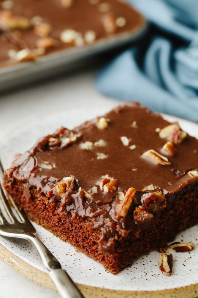 Texas sheet cake is the chocolate dessert that dreams are made of!! It's so moist, chocolatey and rich that you won't know what hit you when you take a bite! Texas sheet cake on a plate with a fork.