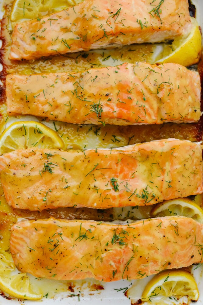 Honey mustard salmon is the perfect blend of tangy and delicious. It's tender and flaky and it completely falls apart on your fork! This tried and true recipe is one that your family will go crazy for! Close up of baked honey mustard salmon.