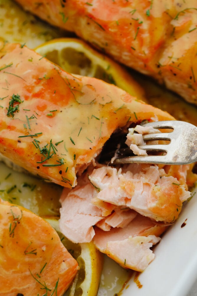 Honey mustard salmon is the perfect blend of tangy and delicious. It's tender and flaky and it completely falls apart on your fork! This tried and true recipe is one that your family will go crazy for! A fork digging in to baked honey mustard salmon