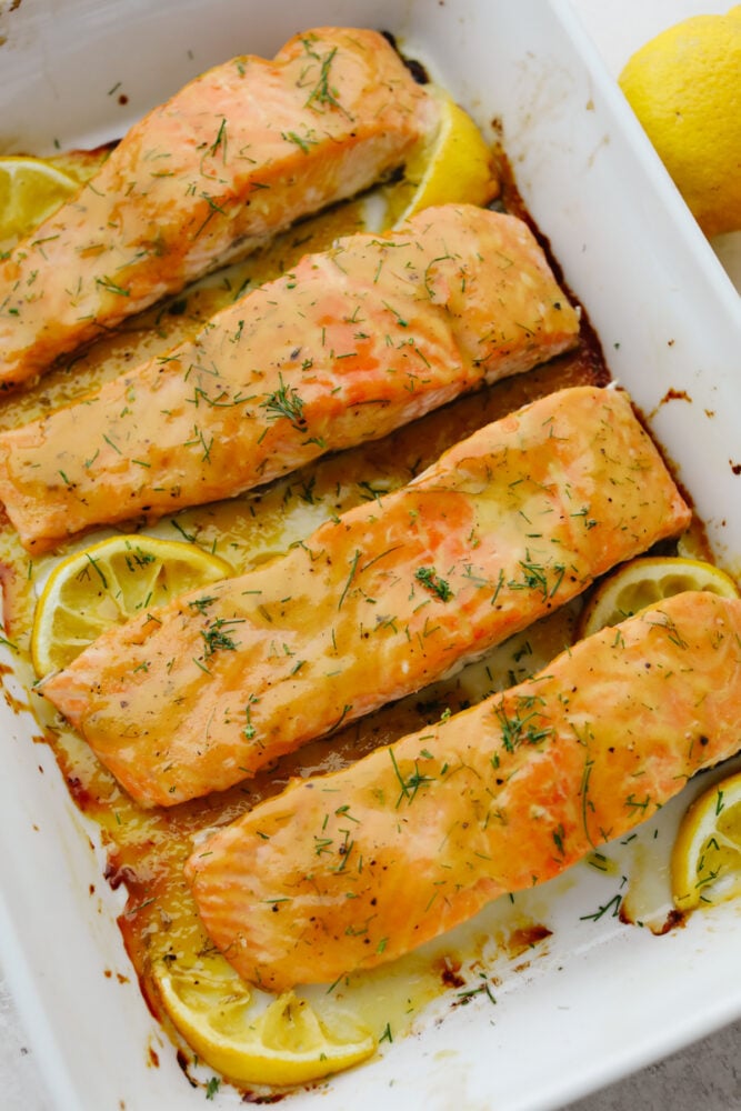 Honey mustard salmon is the perfect blend of tangy and delicious. It's tender and flaky and it completely falls apart on your fork! This tried and true recipe is one that your family will go crazy for! Baked salmon in a casserole dish.