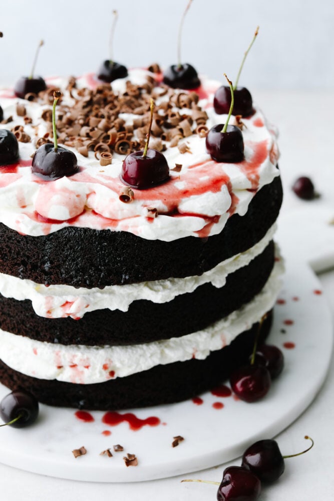 Black forest cake is just as beautiful as it is delicious! Topped with cream, cherries, and beautifully curled chocolate, this cake is a total show stopper! It will definitely get a "WOW!" out of your guests! Black forest cake on a platter.