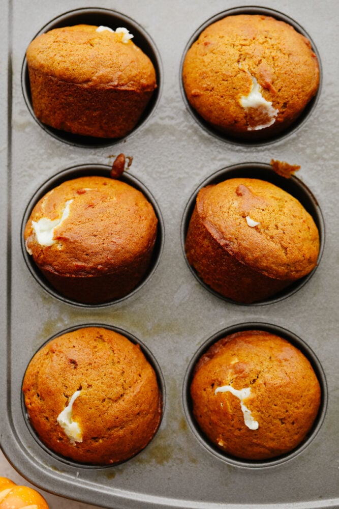 These pumpkin cream cheese muffins are the perfect combination of moist and savory on the outside and sweet and tangy on the inside! Pumpkin season is officially underway and these muffins are here for it! Pumpkin cream cheese muffins in a muffin tin.