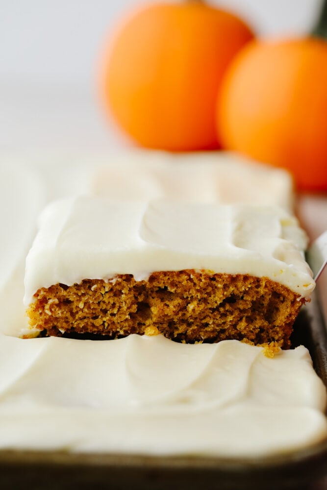 Pumpkin spice sheet cake not only tastes amazing but it feeds a crowd! Top it with some tangy cream cheese frosting and you have yourself a dessert to remember! Pumpkin spice sheet cake being served from a baking sheet.
