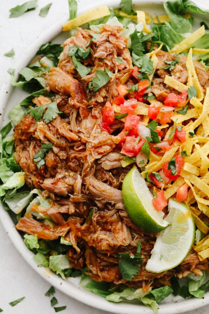 Perfectly sweet and tender, pulled pork is the absolute best when it comes to meat for your meal! This tried and true recipe is definitely one for the books! Sweet pulled pork made into a salad.