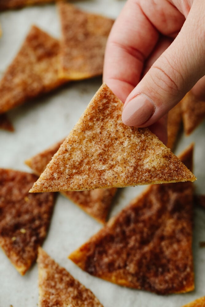 Cinnamon sugar tortilla chips are an easy and delicious treat! Crispy and golden, they're perfect for all of your favorite sweet dips. Picking up one cinnamon sugar chip.