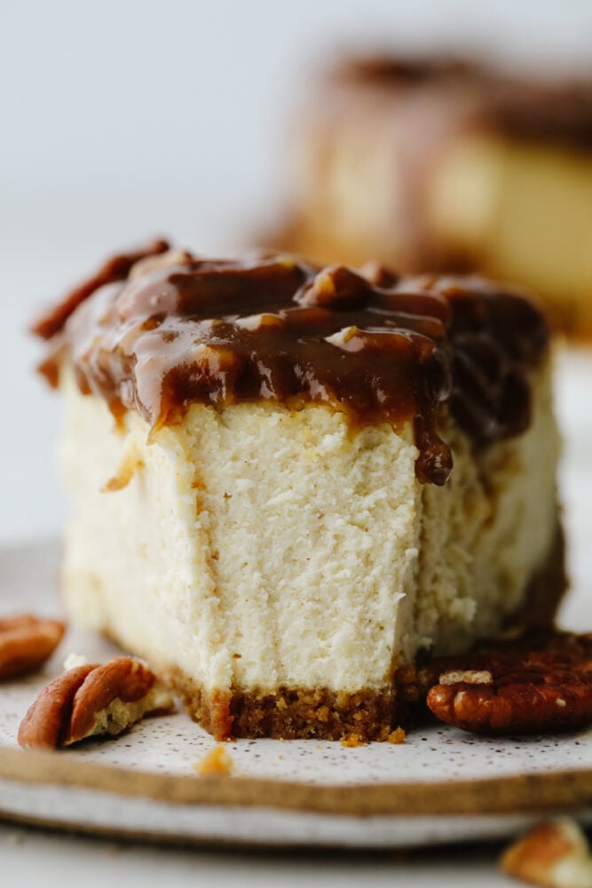 This dessert is everything you love about pecan pie, drizzled on the most decadent, creamy cheesecake! Each bite of pumpkin pie cheesecake will wow you! Closeup of pecan pie cheesecake slice.