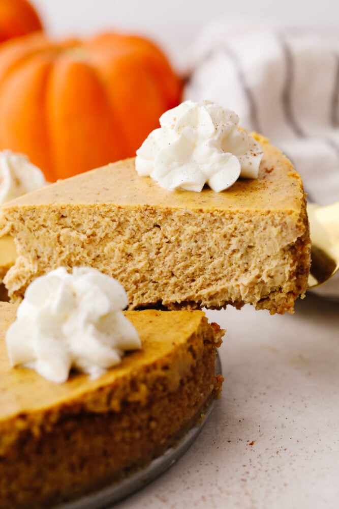 This pumpkin cheesecake that is drizzled with caramel sauce is the ultimate fall dessert. It's rich, creamy, and spiced to perfection! A slice of cheesecake being served.
