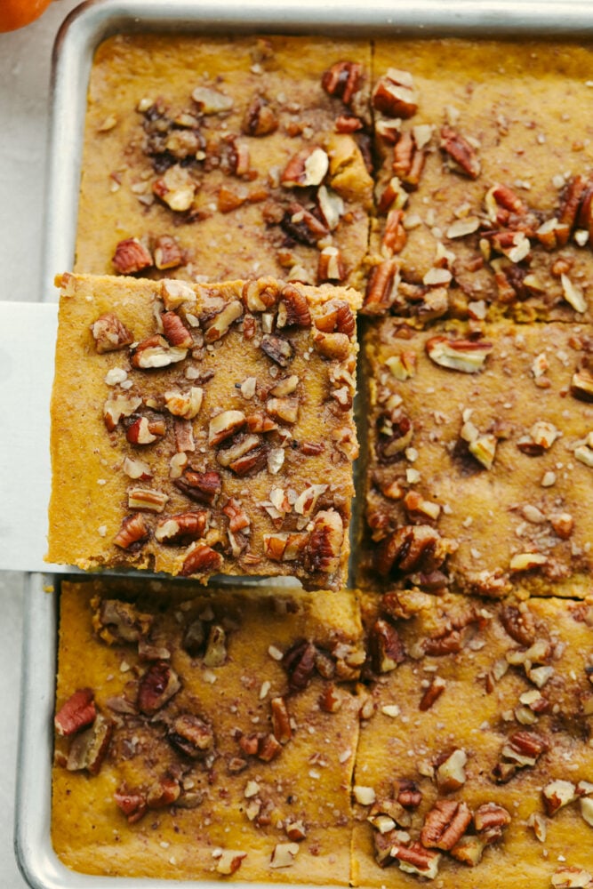 All of the goodness of fall treats combine in these delicious pumpkin pecan pie bars. Layers of shortbread, pecan, and spiced pumpkin will have you hooked!