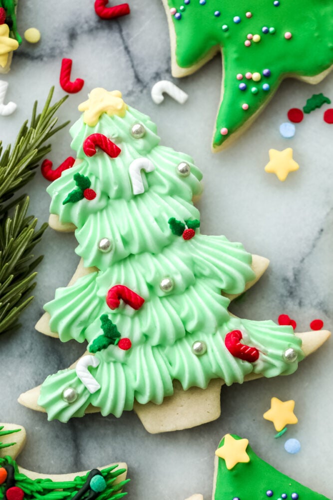 If you're wanting a dessert that is both festive and delicious, look no further! These Christmas tree sugar cookies will shine at any holiday party! Closeup of a Christmas tree cookie with mistletoe and candy cane detailing.