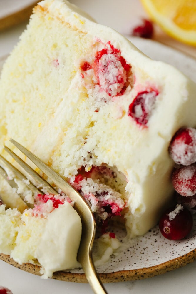 Cranberry Christmas cake is a show-stopping dessert you've got to try this holiday season! It's an amazing white cake filled with cranberries and topped with indulgent white chocolate buttercream! Closeup of cranberry Christmas cake slice.