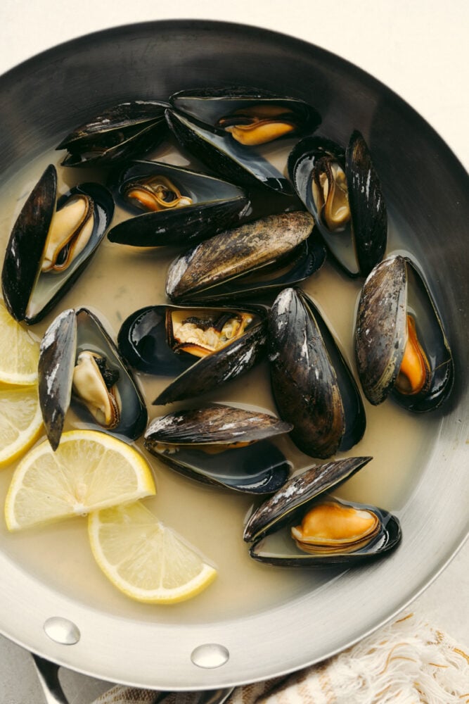 These steamed mussels are easy, elegant, and delicious! They are perfect for any dinner party and you won't be able to stop after just one! Mussels in a pot that are cooked and ready to eat.