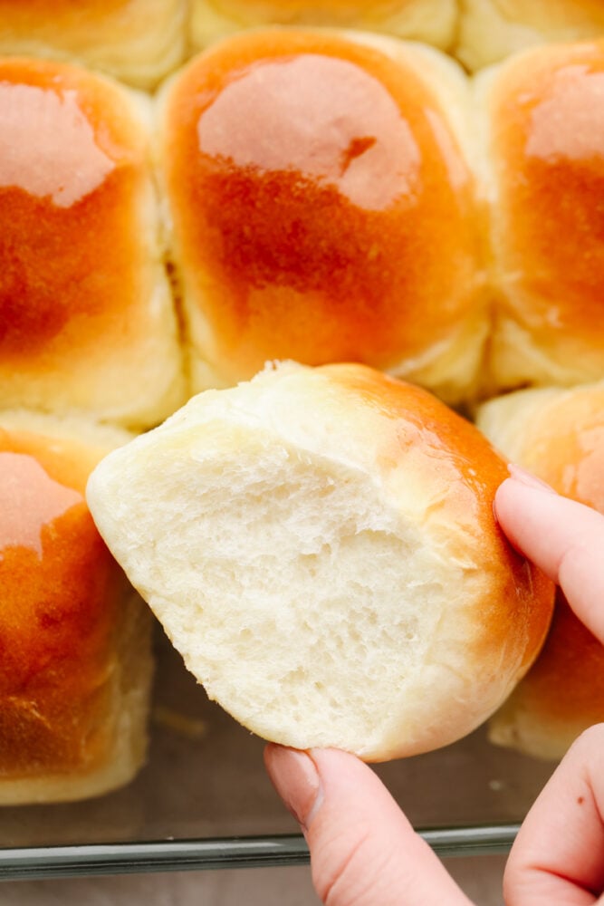 These 1-hour dinner rolls are the perfect solution for making fresh bread in a pinch! This easy and delicious roll recipe will become your new favorite, just in time for the holidays! Picking up a roll out of a batch.
