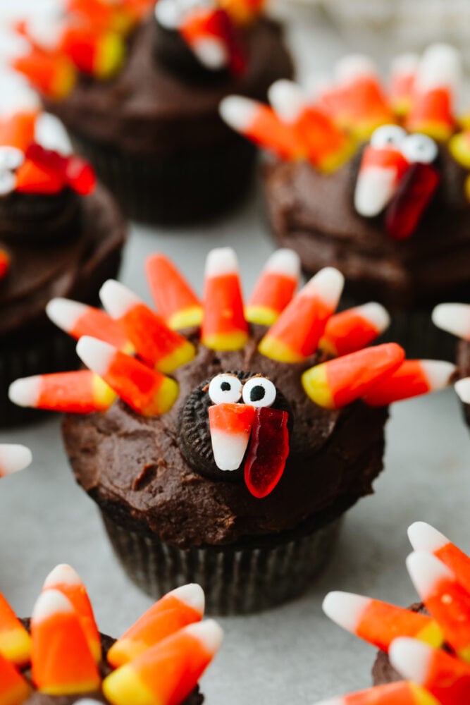 These turkey cupcakes are cute, festive, and oh so delicious! Your kids will love making these and they are perfect for the Thanksgiving season! A chocolate cupcake decorated to look like a turkey.