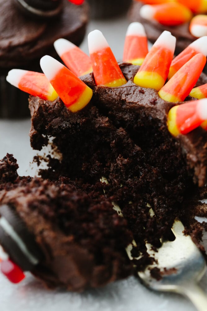 These turkey cupcakes are cute, festive, and oh so delicious! Your kids will love making these and they are perfect for the Thanksgiving season! A chocolate cupcake with a fork cutting into it.