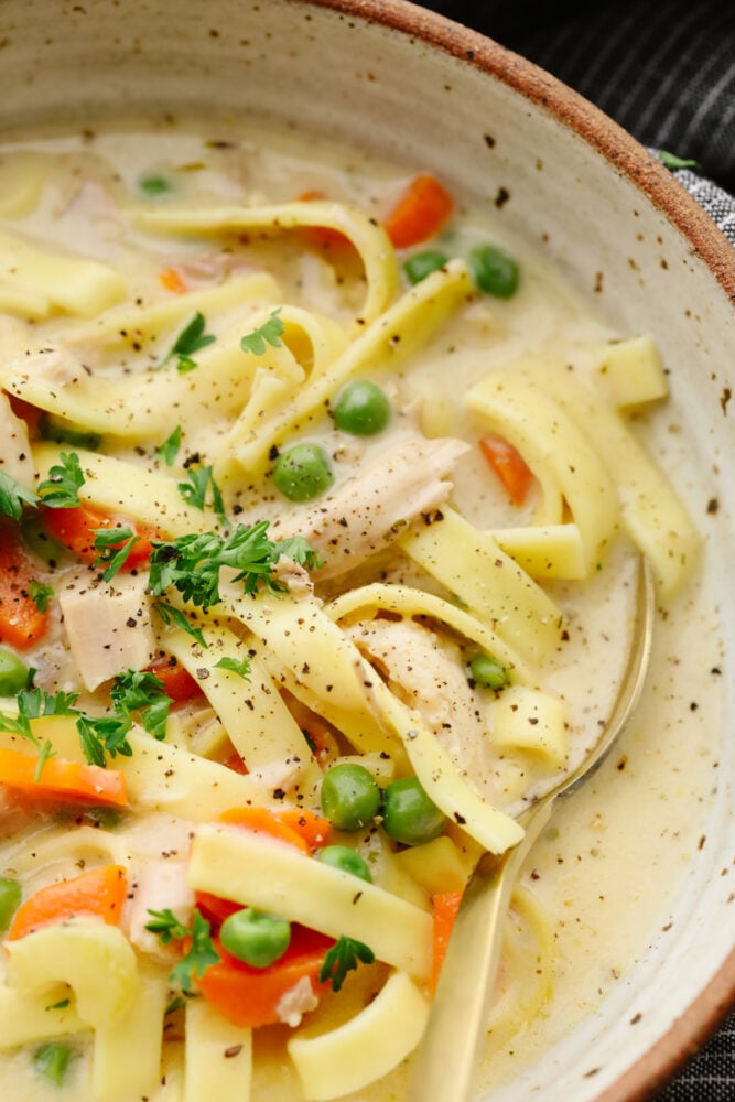 Making a big pot of turkey noodle soup is the best way to use up your Thanksgiving leftovers! Itโs creamy, savory, and filled with delicious herbs and veggies! Your family is going to love this easy, hearty meal. Closeup of turkey noodle soup.