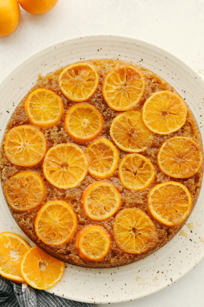 Soft and moist with a sweet juicy flavor, this is one citrus dessert you won't want to miss! Clementine cake is a must-try for the holidays! Top-down view of a full clementine cake.