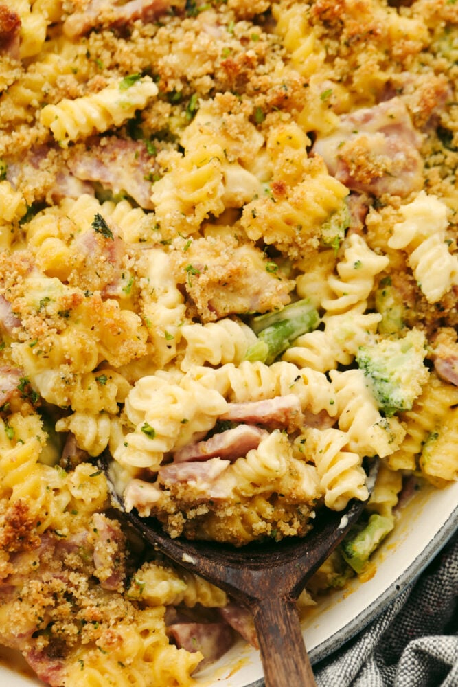If you have leftover ham from your holiday dinner then this cheesy ham casserole is for you! Delicious noodles topped with cheese sauce, ham, broccoli, and crispy bread crumbs, this dish will be a family favorite! A close up of cheesy ham casserole.
