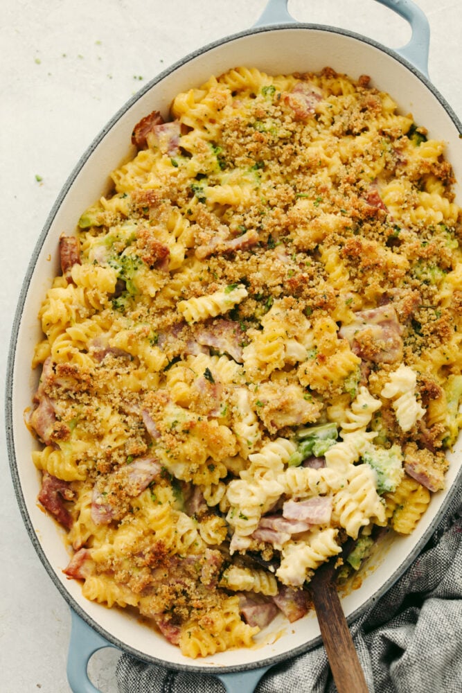 If you have leftover ham from your holiday dinner then this cheesy ham casserole is for you! Delicious noodles topped with cheese sauce, ham, broccoli, and crispy bread crumbs, this dish will be a family favorite! Casserole with ham, noodles, broccoli and cheese sauce in a dish.