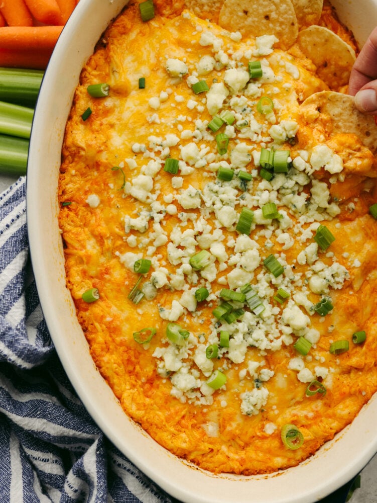 This buffalo chicken dip is the absolute best! Fully loaded with chopped chicken, three types of cheeses, sour cream, and delicious seasonings, this dip has the spicy hot sauce flavor that you are looking for! Someone dipping a tortilla chip into buffalo chicken dip.