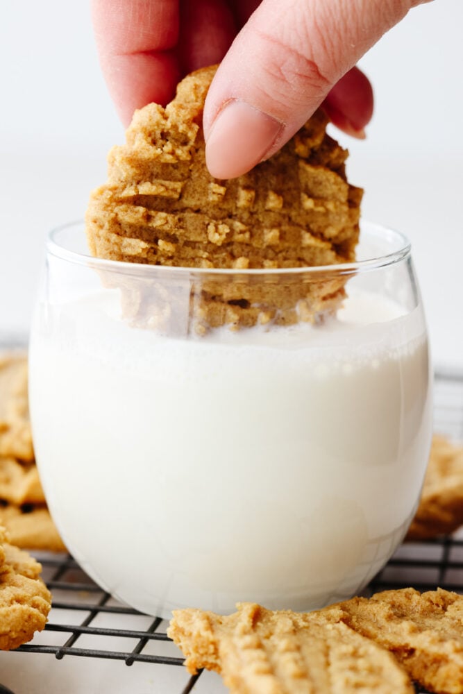 A flourless twist on a classic cookie? Yes, please! These cookies are packed with incredible peanut butter flavor and perfect for any gluten-free diet! A flourless peanut butter cookie being dipped in milk.