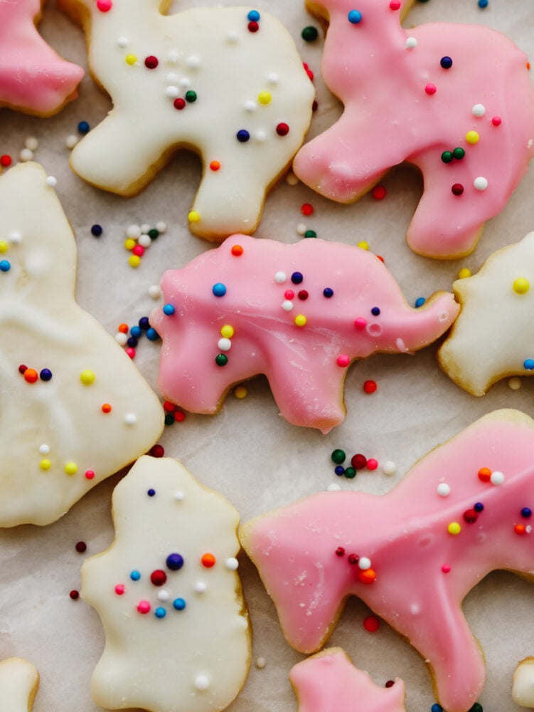 Forget buying these at the store... These circus animal cookies are way better when you make them at home! They are so delicious and bite-sized that they make the perfect treat for anyone, young and old! A close up show of some decorated and ready to eat circus animals cookies.