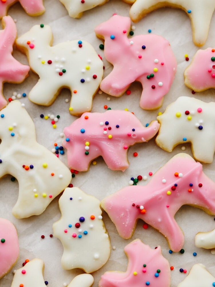 Forget buying these at the store... These circus animal cookies are way better when you make them at home! They are so delicious and bite-sized that they make the perfect treat for anyone, young and old! Circus animal cookies decorated and on some parchment paper.