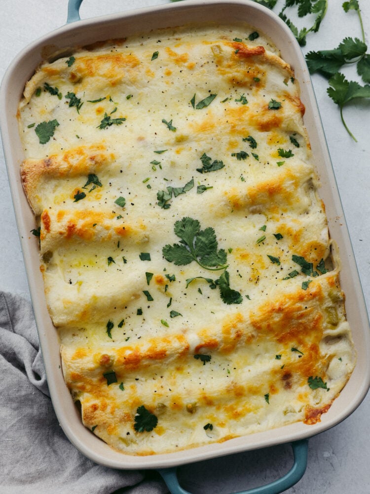 Creamy and filling, these white chicken enchiladas are perfect for any family dinner! They are ready in 30 minutes, so they are perfect for any of those busy, on-the-go nights! The top view of a baking dish filled with cooked white chicken enchiladas.