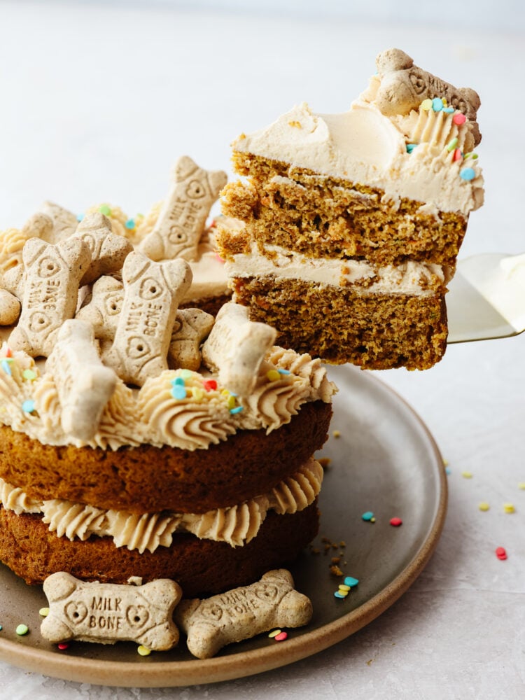 Making your dog a birthday cake is the best way to spoil them on their special day! This furry friend-approved cake is filled with healthy ingredients like yogurt, pumpkin, applesauce and carrots! They’ll love every bite! Taking a slice of dog birthday cake with an icing spatula.