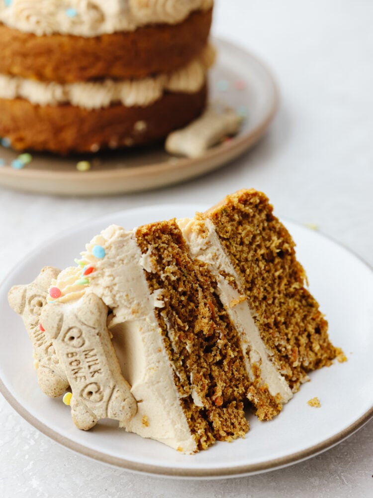 Making your dog a birthday cake is the best way to spoil them on their special day! This furry friend-approved cake is filled with healthy ingredients like yogurt, pumpkin, applesauce and carrots! They’ll love every bite! Closeup shot of a slice of dog birthday cake.