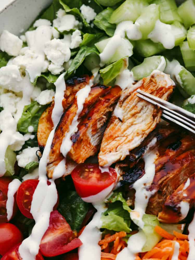 This buffalo chicken salad is packed with fresh vegetables, feta cheese, and the perfect buffalo chicken. Layer this with some homemade dressing, and you'll have your new go-to salad recipe! A close up of buffalo chicken salad with a fork in the chicken.