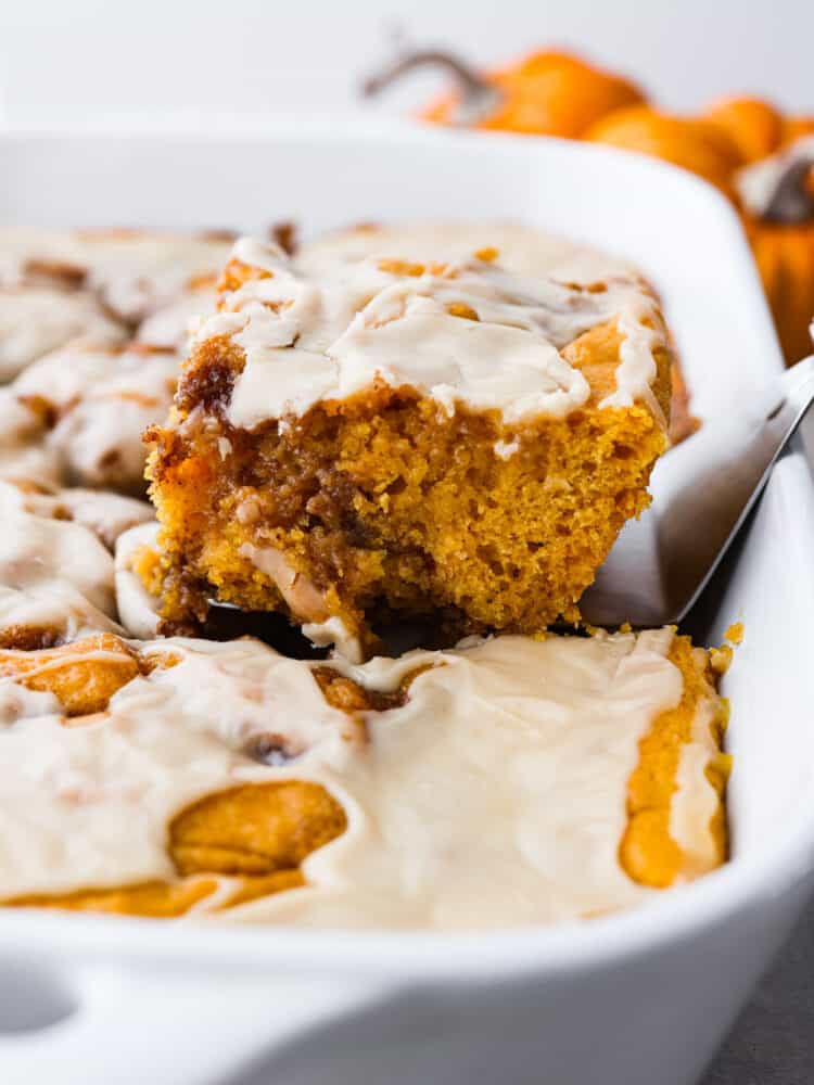 This pumpkin cinnamon roll cake is a perfectly moist pumpkin cake with pockets of swirled cinnamon and brown sugar topped with a maple glaze. It tastes just like you are eating a cinnamon roll! This is one of the best fall cakes! Pumpkin cinnamon roll cake in a 9x13 dish being served with a pie server.