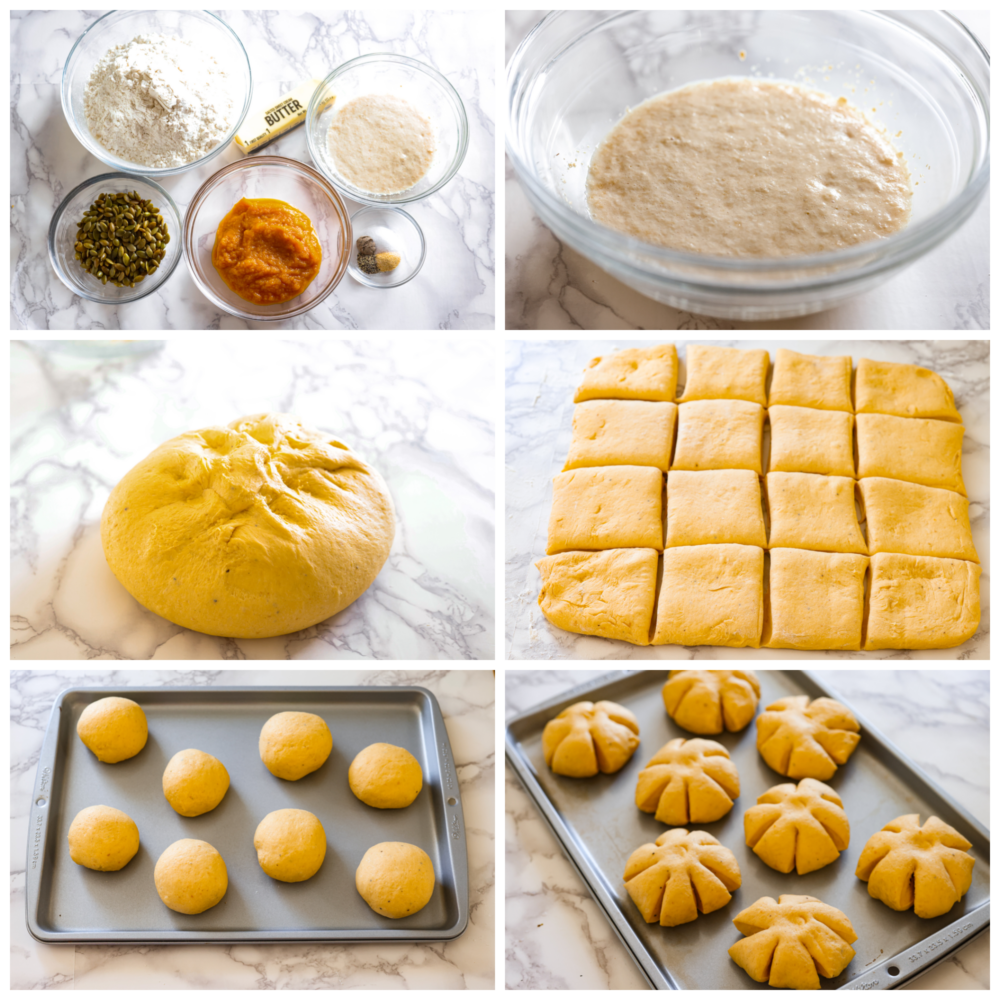 These pumpkin dinner rolls are the perfect, festive side dish to add to any fall meal! They not only taste like pumpkin but they are shaped just like one as well! Impress all of your guests by making these rolls and taking your holiday celebrations to the next level. 6 pictures showing the process of making the bread dough.