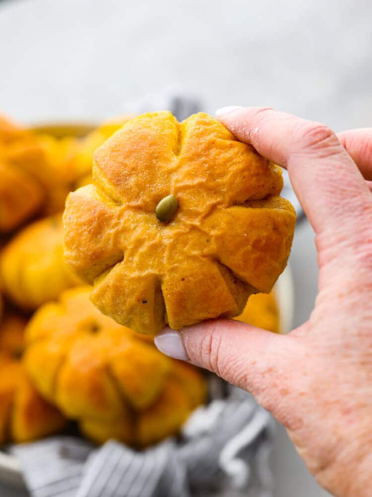 These pumpkin dinner rolls are the perfect, festive side dish to add to any fall meal! They not only taste like pumpkin but they are shaped just like one as well! Impress all of your guests by making these rolls and taking your holiday celebrations to the next level. Someone holding a pumpkin dinner roll up.