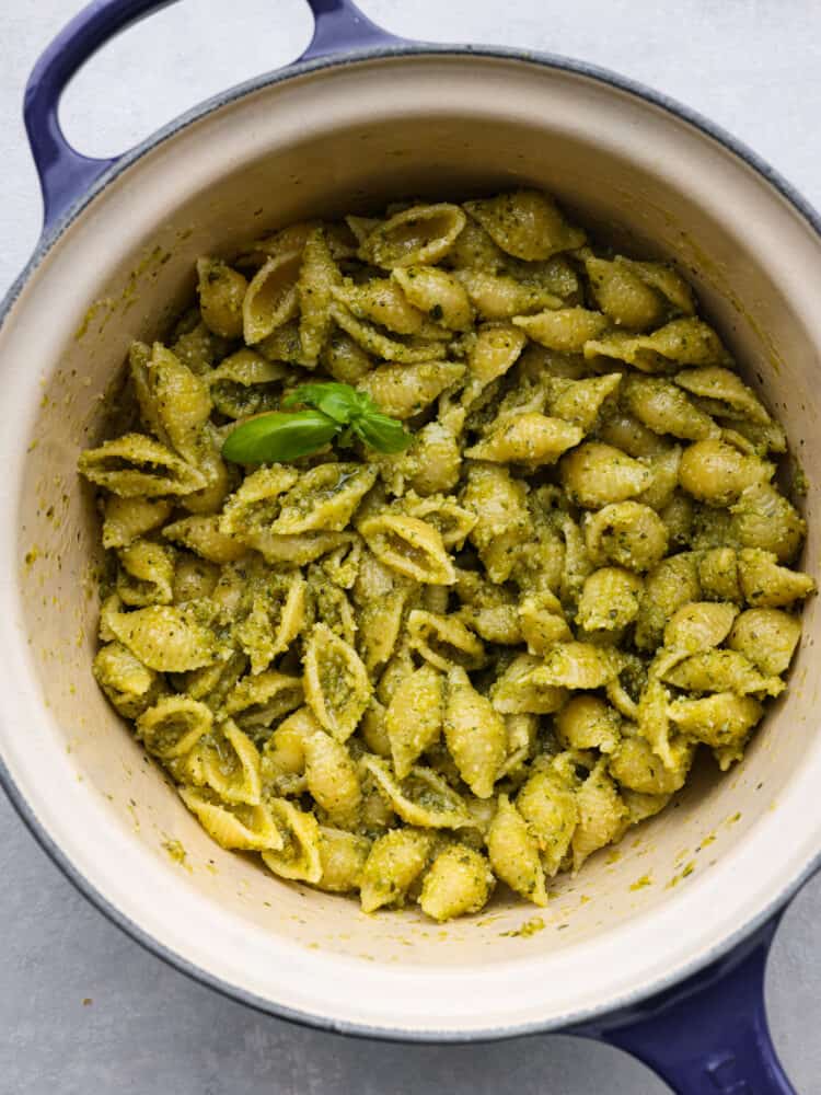 10-minute pesto pasta is made with fresh basil, parmesan, pine nuts, and olive oil. It brings incredible flavor to your pasta dish and is ready in no time at all!ย Shell pasta tossed with pesto in a white and blue skillet.