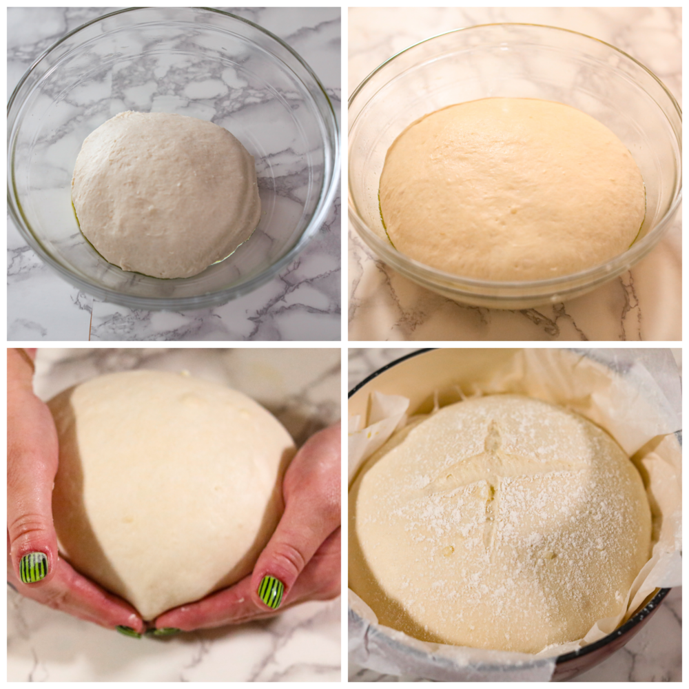 Potato bread is a soft white bread that is spongy and delicious. The potatoes add a fluffy yet firm texture making it perfect for sandwiches, toast, or warmed with jam. First photo is the dough mixed and placed in a bowl to rise. Second photo of the dough that has risen. Third photo of the dough being shaped into a round loaf. Fourth photo of the raised round dough in a enamel pot lined with parchment paper. The loaf is scored and sprinkled with flour.